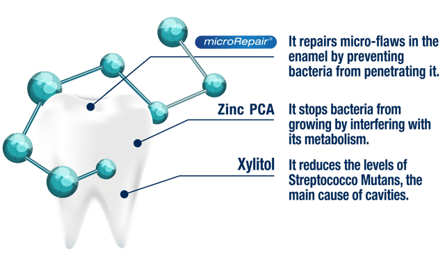 Tooth Paste Active Shield 75 Ml