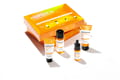 Propolis B5 Glow Barrier Calming Kit