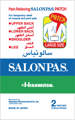 Salonpas Pain Relieving Patch Large