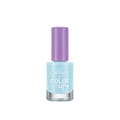 Callista Color Up Nail Polish# 511