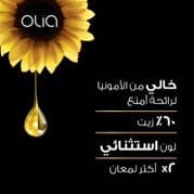 غارنييه أوليا، 5.35 بني شوكولاته، صبغة دائمة للشعر مع ٦٠٪ زيت