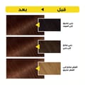 غارنييه أوليا، 5.35 بني شوكولاته، صبغة دائمة للشعر مع ٦٠٪ زيت