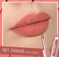 Pink Flash Matte Liquid Lipstick N01 Canvas