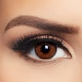Layala Color Lens - Brown Avena
