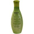 Daily Scent Spring Break Cologne 125 ml