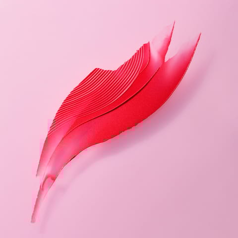 Rimmel Lasting Finish Lipstick# 170