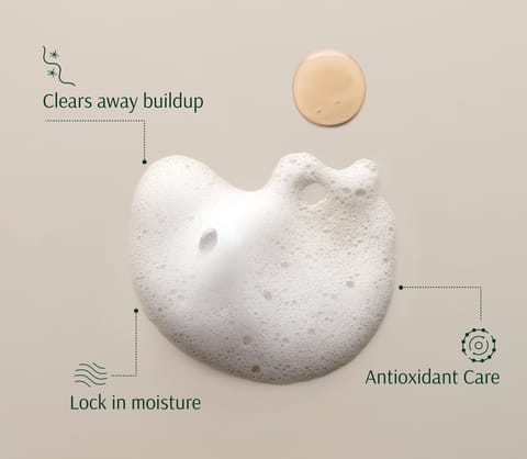 تارا شامبو التمر متعدد الفيتامينات المغذي خالٍ من الكبريتات 267 مل