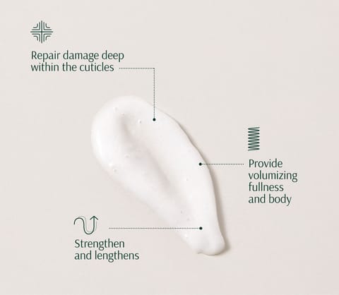 Tara ONION PEPTIDES THICKENING CONDITIONER 267 ML