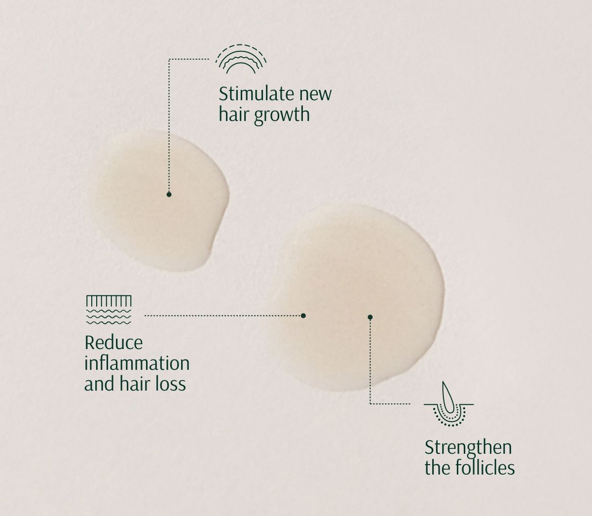 Tara ONION PEPTIDES FOLLICLE STIMULATING SCALP CONCENTRATE 50 ML