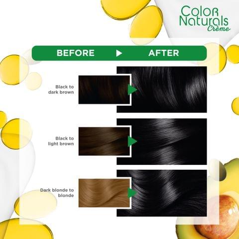 Hair Color Naturals 1 Black 110Ml