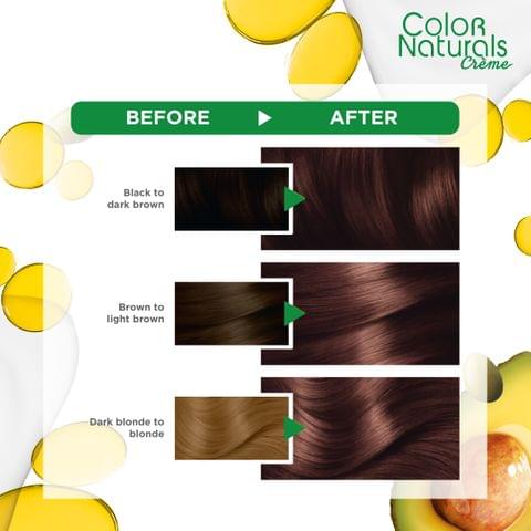 Hair Color Color Naturals 6.7 Chocolate Brown